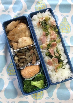 20220512マイ弁当-レシピのメイン写真
