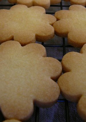 サックサクなおいしいクッキー●色々●-レシピのメイン写真
