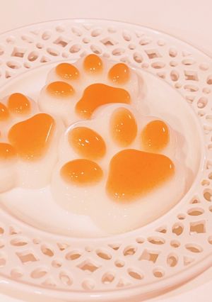 【犬用】固めるだけ!わんこ用 寒天ゼリー-レシピのメイン写真