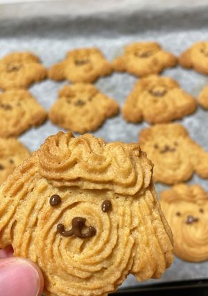 焼くまで10分！サクサクきなこクッキー-レシピのメイン写真