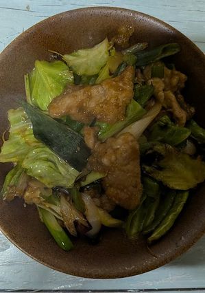 ささっとホイコーロー食欲増強-レシピのメイン写真