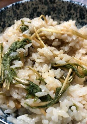 鯖風味水菜寿司-レシピのメイン写真