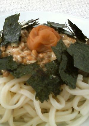 うどんバリエーション-レシピのメイン写真