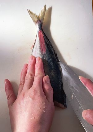 【和食の基本】アジの三枚おろしの方法-レシピのメイン写真