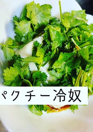 \\農家直伝//ピリ辛パクチー冷奴-レシピのメイン写真