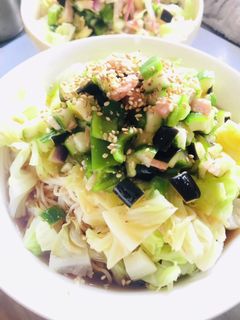 梅胡麻野菜素麺-レシピのメイン写真