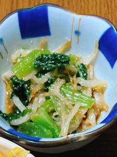 レンジで2分!もやしと小松菜の胡麻和え-レシピのメイン写真