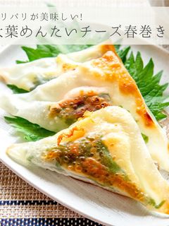 簡単おつまみ★めんたいチーズ春巻き-レシピのメイン写真