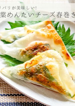 簡単おつまみ★めんたいチーズ春巻き-レシピのメイン写真