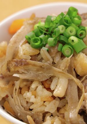 ごぼうときのこの具沢山炊き込みご飯-レシピのメイン写真