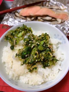 常備菜かぶの葉とジャコ炒め-レシピのメイン写真