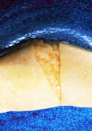 トロトロプレーンオムレツ-レシピのメイン写真