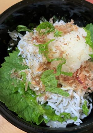 乗せるだけで出来上がり！シラス丼-レシピのメイン写真