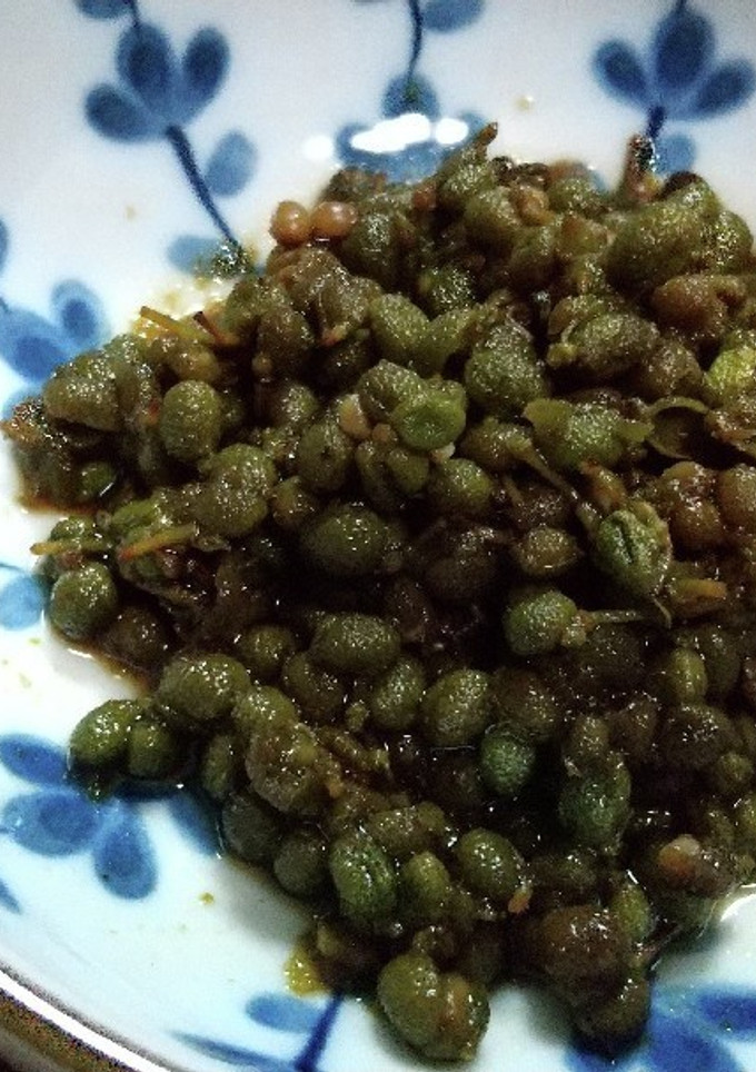 実山椒の佃煮-レシピのメイン写真