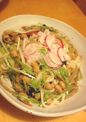 ＊納豆の彩りうどん＊-レシピのメイン写真