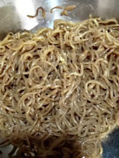 糸こんにゃくの煮物-レシピのメイン写真