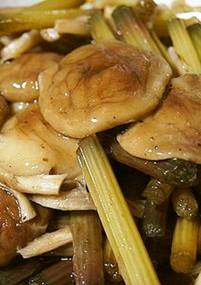 山ぶきと椎茸の炊いたん-レシピのメイン写真