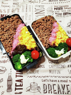 高校生男子そぼろ弁当-レシピのメイン写真