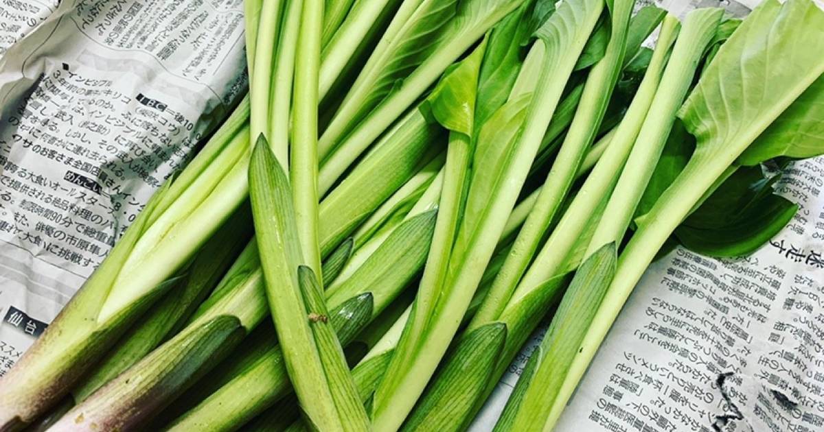基本からアレンジまで!思わずつくりたくなる「山菜うるい」のレシピ集 | クックパッド