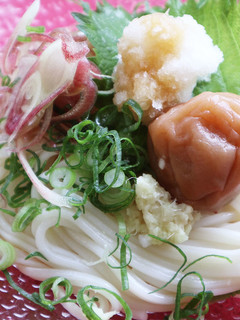 はちみつ梅のふとそうめん-レシピのメイン写真