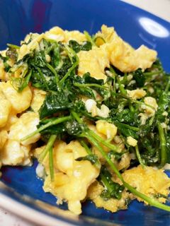 豆苗の中華炒め-レシピのメイン写真