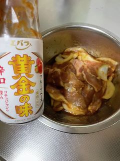 漬け込むだけ焼き肉-レシピのメイン写真