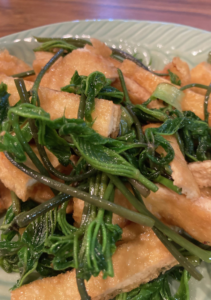 コシアブラとあげの炒め物-レシピのメイン写真