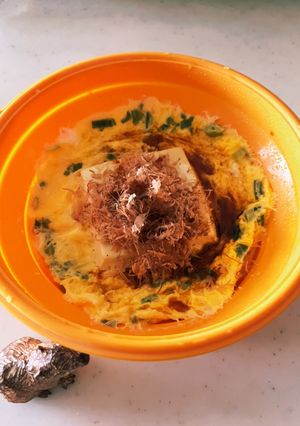 かぴのレンチン豆腐のステーキ-レシピのメイン写真