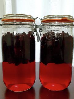 桑の実(マルベリー)のサワードリンク-レシピのメイン写真