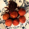 小梅で作る赤紫蘇ハチミツ漬け