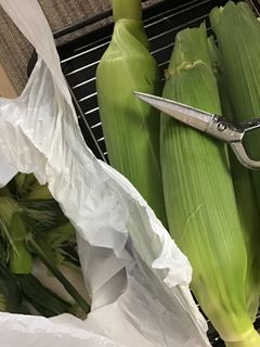 とうもろこしの剥き方、食べ方-レシピのメイン写真