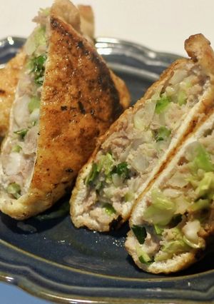 ダブルでジューシー！油揚げ餃子-レシピのメイン写真
