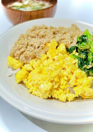 三色ご飯(そぼろご飯) こどもも完食♡-レシピのメイン写真