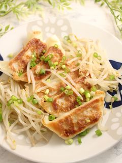 簡単!焼き餃子の白だし煮-レシピのメイン写真