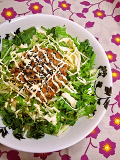納豆サラダ-レシピのメイン写真