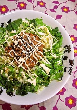 納豆サラダ-レシピのメイン写真