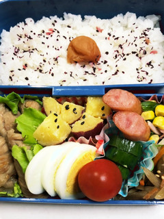 中学生のお弁当 13-レシピのメイン写真