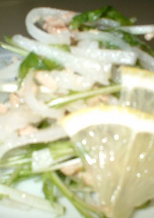 大根と水菜であっさりサラダ　☆彡-レシピのメイン写真