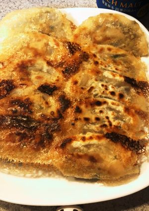 高野豆腐でカサ増し餃子-レシピのメイン写真