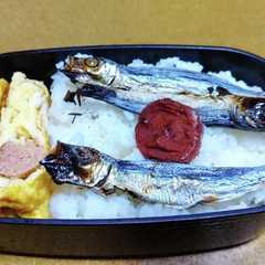 昭和のなつかし弁当-レシピのメイン写真