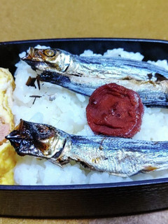 昭和のなつかし弁当-レシピのメイン写真