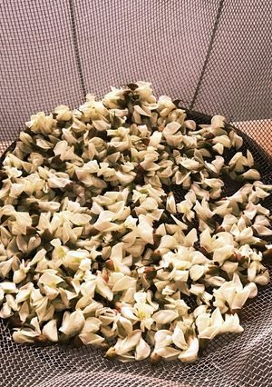 ニセアカシアのドライハーブティーの作り方-レシピのメイン写真