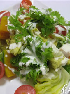 ヨーグルトドレッシングで★温野菜サラダ-レシピのメイン写真