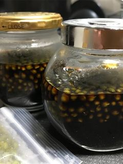 実山椒の醤油漬け-レシピのメイン写真