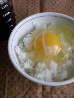 さしみ醤油で卵かけご飯-レシピのメイン写真