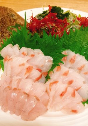 マゴチの捌き方 刺身 お造り-レシピのメイン写真