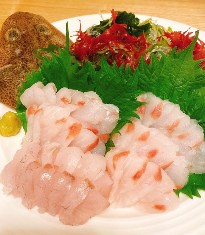 マゴチの捌き方 刺身 お造り-レシピのメイン写真
