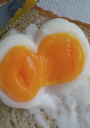 TANICAで作る温玉-レシピのメイン写真