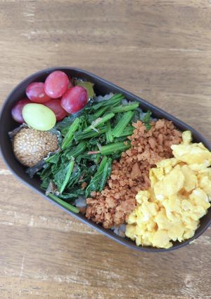JK☆カラフル３色弁当♪-レシピのメイン写真