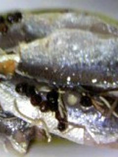 鰯のオイルサーディン-レシピのメイン写真